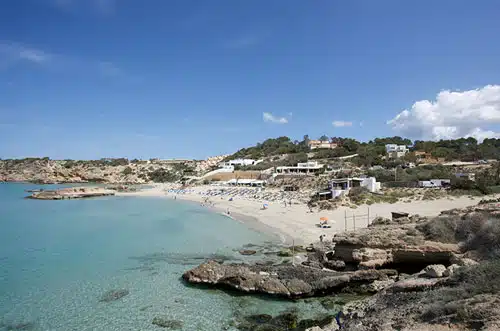 cala tarida