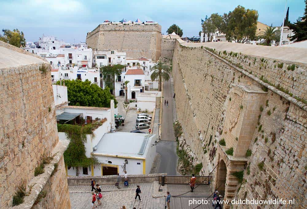 Herbeleef de middeleeuwen in Ibiza stad